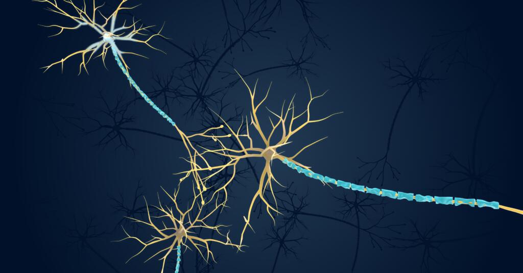 Blue image with nerve connection, Gardner Physical Therapy